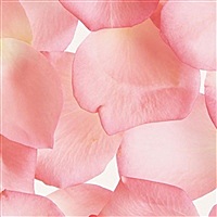 春暖花开时