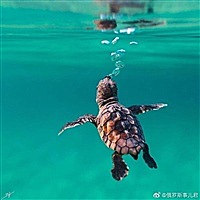 粒粒塔🙈