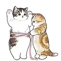 愿我