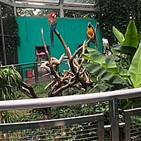 小永远