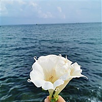 Yu子