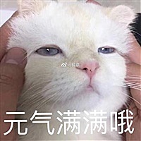 米妮萌萌的