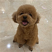 郭木子