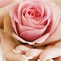 芯芯b