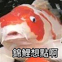 小琳👹
