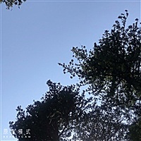 莉