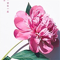 阿呆呆
