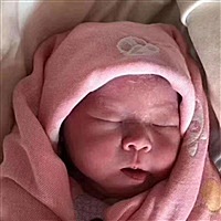 ivf516
