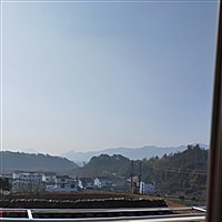 🌴 我穿婚纱只为他🌴