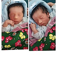 twins