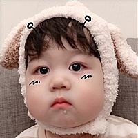 菜菜