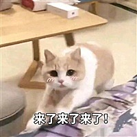 一条小短短