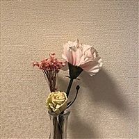 小豌豆wali