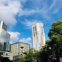 幸福的宝宝