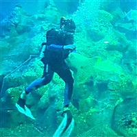 寻找幸福