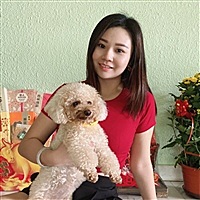 枫叶19