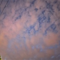 爱摔跤的girl