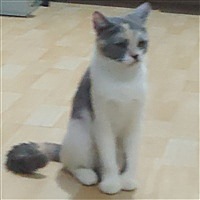 姑娘