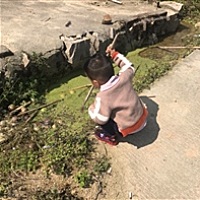 小芝士baby
