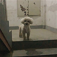 我的乖宝宝