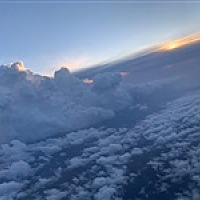 橘子灬