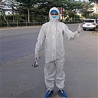 传说中的懒羊羊