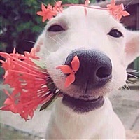 ❤  ❤