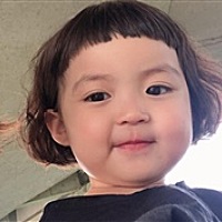 昭奚