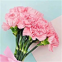 🌺宁静致远🌺