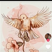 amberbb