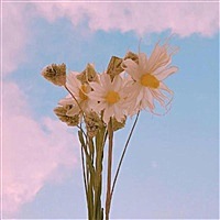 就爱吃瓜子