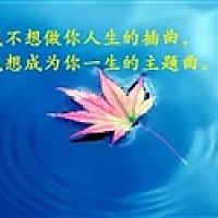 懒猫123