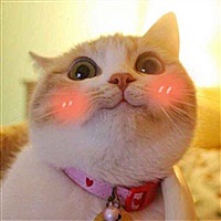 宝宝孕育记录