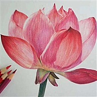 小欢喜Pro