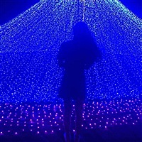 瓢