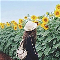 陟尚晴天