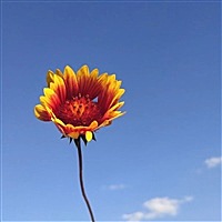 一米阳光