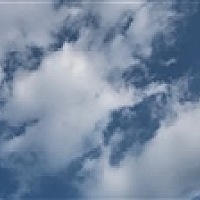 浪浪