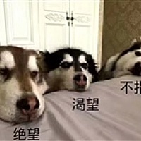 不知名的小人物