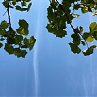 潘潘潘潘