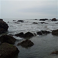 520
