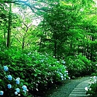 二胎宝宝快来吧