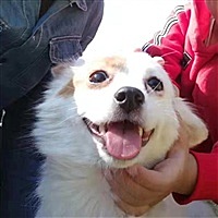 万象更新