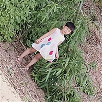 桂珍