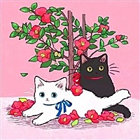 备孕妈妈
