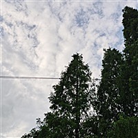 Qin