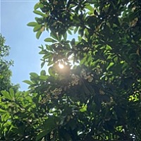 欧阳大屁蛋