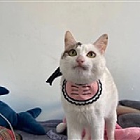 A00唯逝流年💧