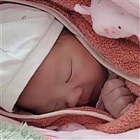 吴茜