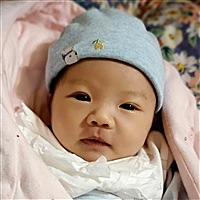吴茜